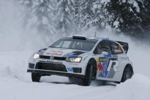 ogier polo wrc