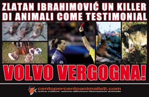 La Volvo aveva ingaggiato Ibrahimovic per una campagna pubblicitaria. Ecco la reazione degli animalisti.