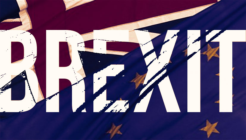 referendum brexit, ukip, anti europeisti