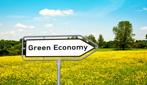 green economy 2 stein