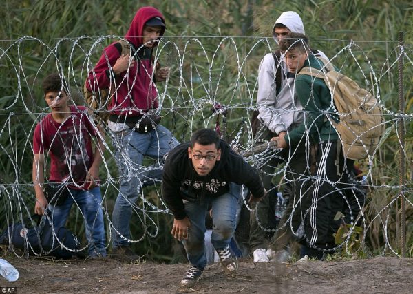 referendum ungheria, immigrazione, rifugiati