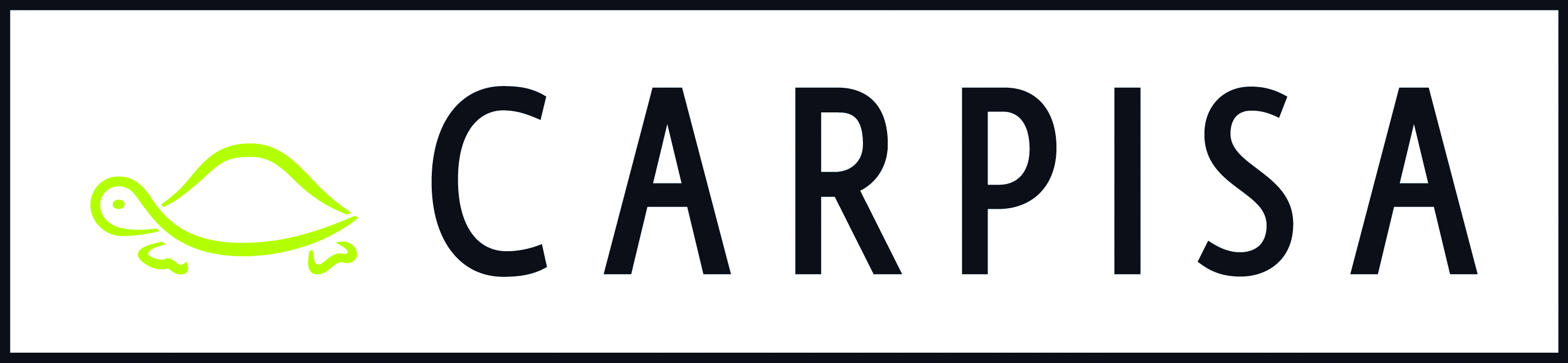 offerte di lavoro, assunzioni carpisa