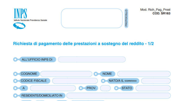 modello naspi com