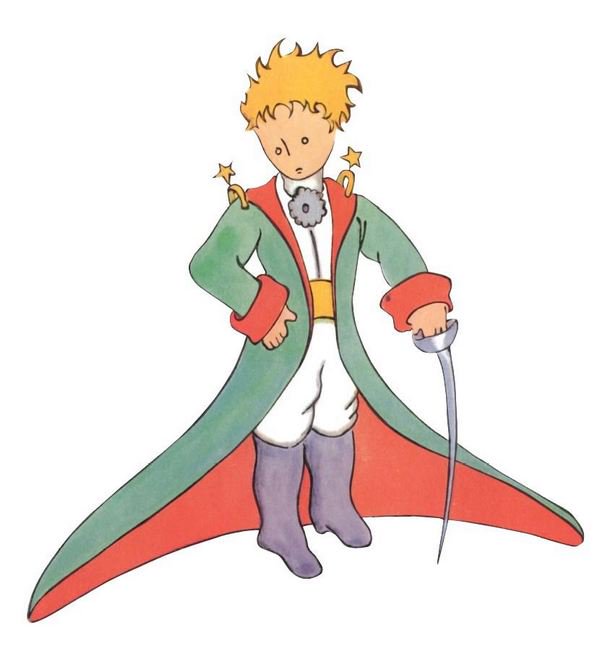 il piccolo principe