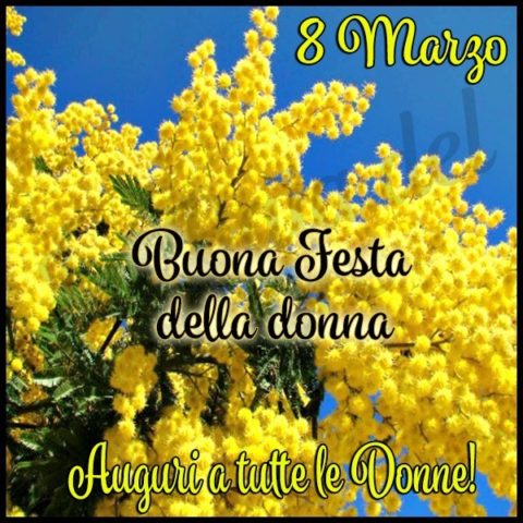 Biglietti festa della donna 2019 7