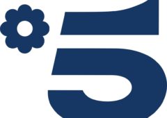 Palinsesto estate 2019 Canale 5: fiction, film e programmi tv