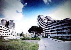 #occupyscampia