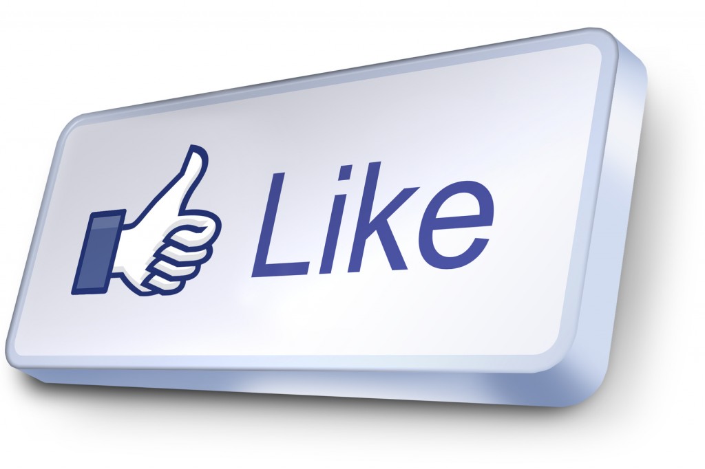 Facebook Sondaggi politici social network