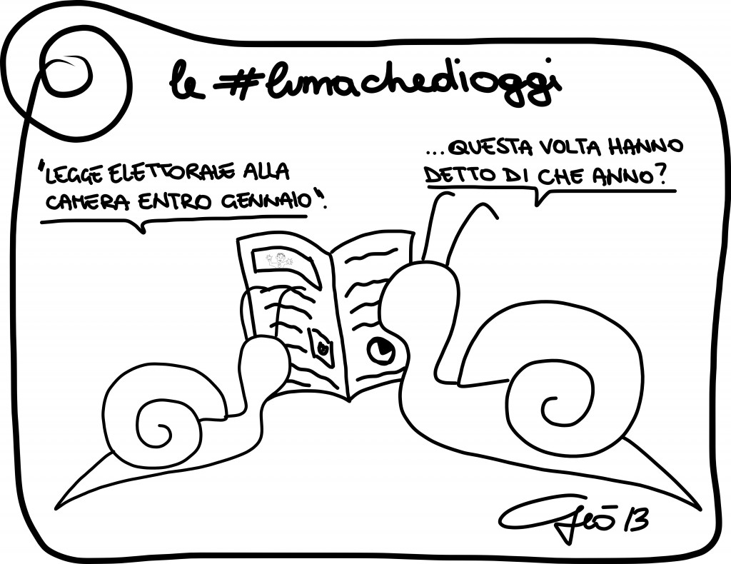 Le #lumachedioggi: tempistiche.