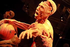 body worlds