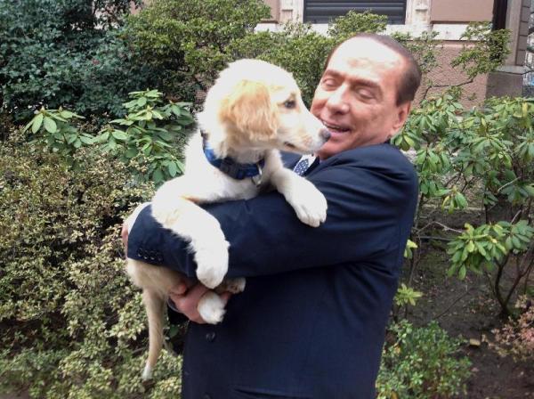 berlusconi animalisti brambilla