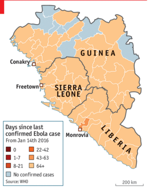 ebola, epidemia ebola, sintomi ebola