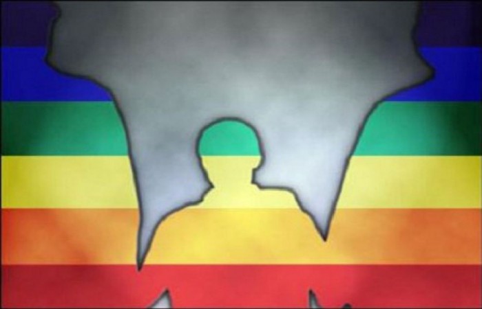 adozioni gay