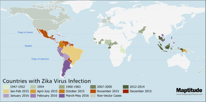 zika, virus zika, zika brasile, brasile olimpiadi