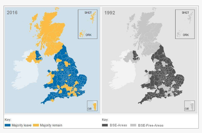 brexit, bufale brexit, brexit mucca pazza