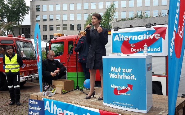 sondaggi elettorali germania, l'analisi delle intenzioni di voto - Frauke Petry, leader dell'estrema destra AFD