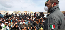 sondaggi politici, immigrazione, m5s