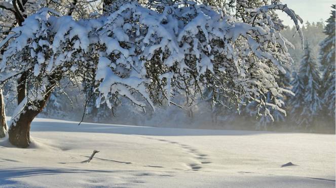 Meteo inverno 2018