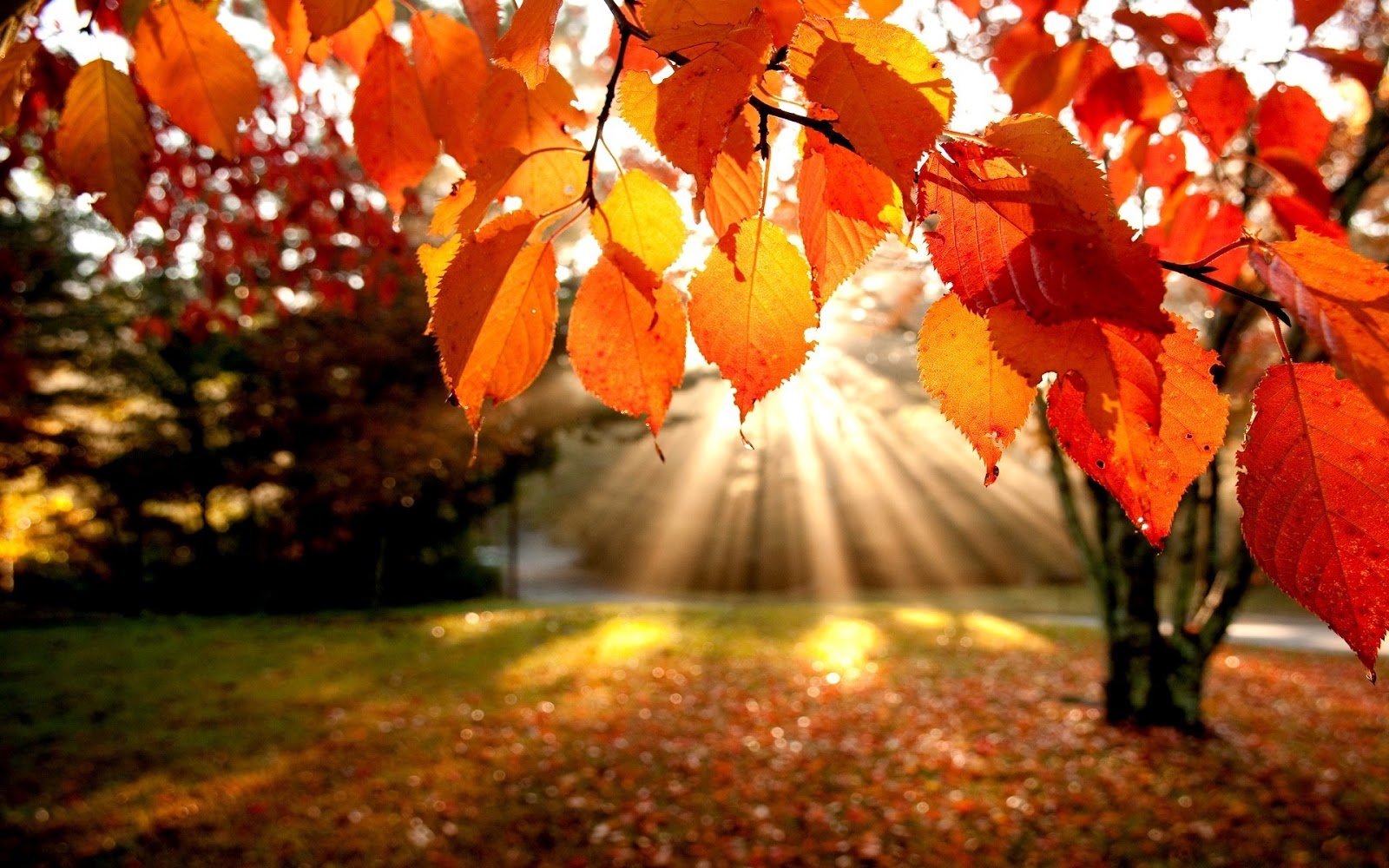 Meteo autunno 2017, meteo ottobre 2017, Meteo settembre 2017