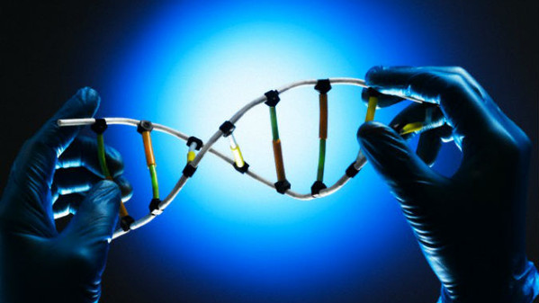 genetica bioetica
