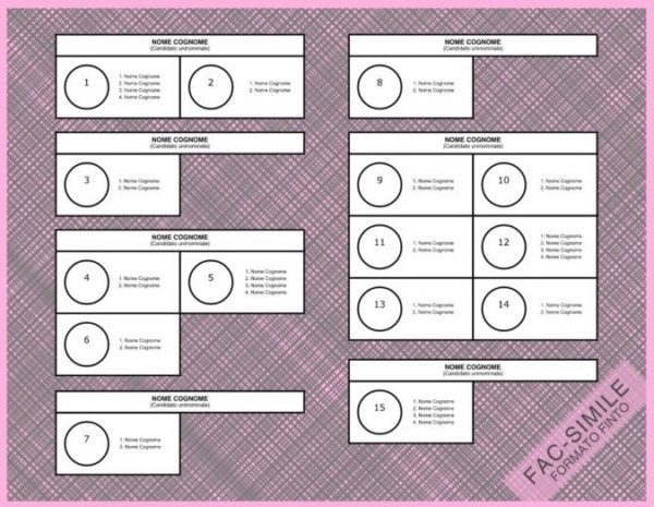 Elezioni politiche 2018: fac-simile scheda elettorale, come si vota