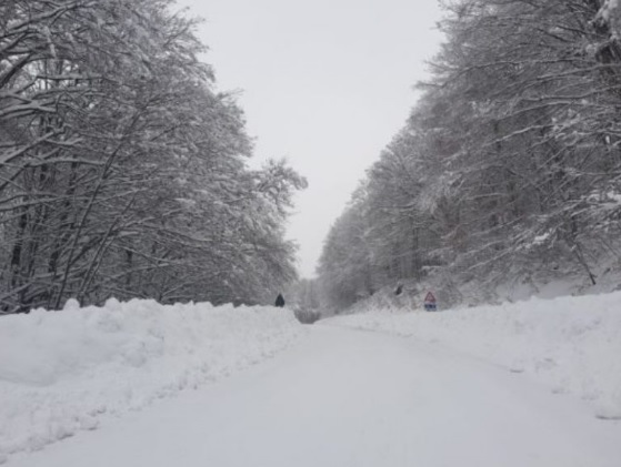 Meteo inverno 2019 in Italia come sarà le previsioni di freddo e neve