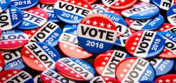 elezioni midterm usa