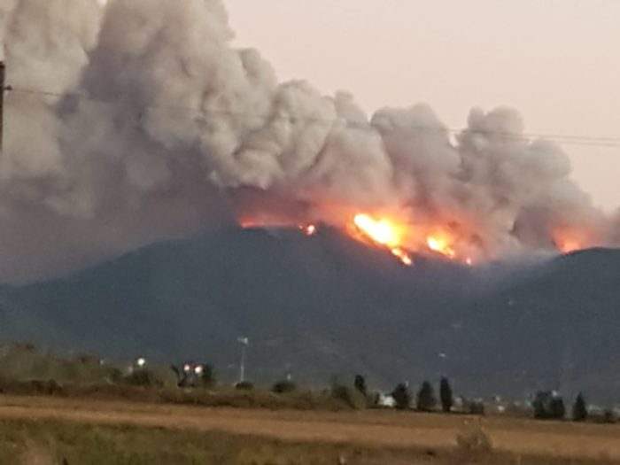 incendio del monte serra, parla l'assessore