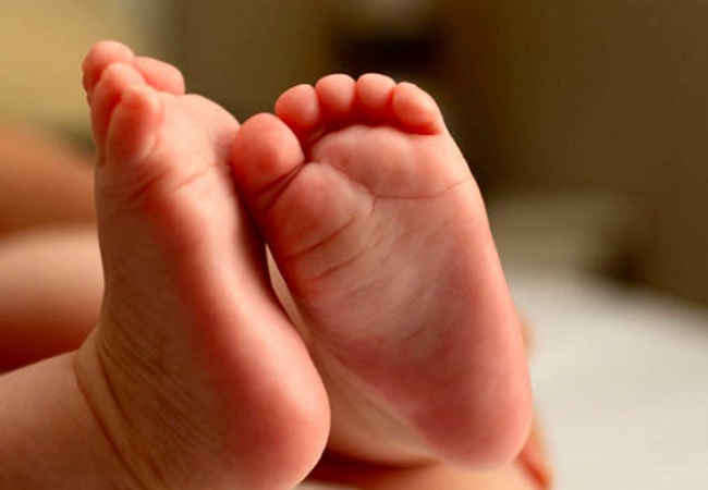 Bonus bebé 2019 requisiti e importo aggiornato con emendamento Lega