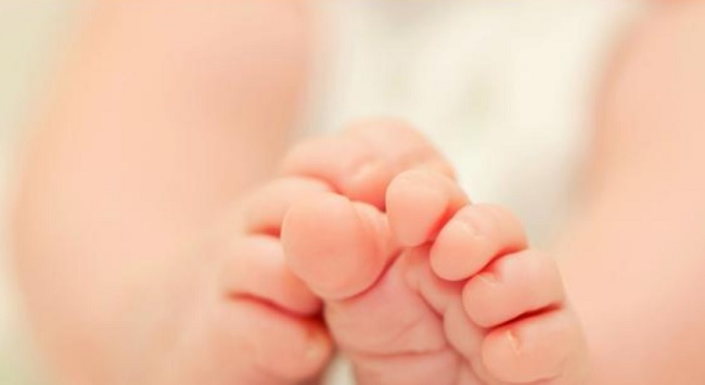 Legge di Bilancio 2019 bonus bebè escluso, quanto si perde