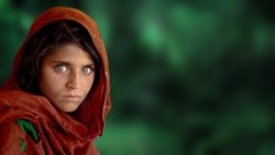 mostra steve mccurry a bologna. ecco dove e quando