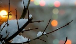 Auguri natalizi 2018 formali informali e originali. Migliori frasi