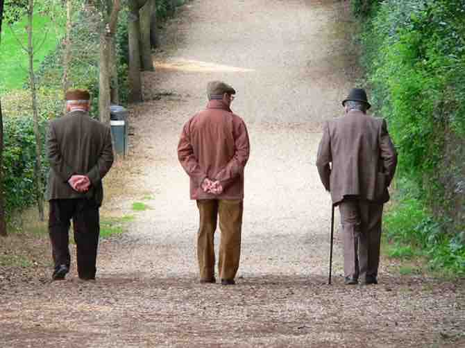 Busta paga pensionato lavoratore: trattenute stipendio e differenze