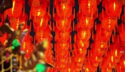 Capodanno cinese 2019 data anno del maiale e feste in Italia ok ok