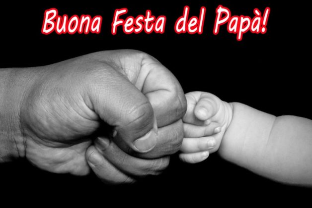 Risultato immagini per immagini festa del,papa