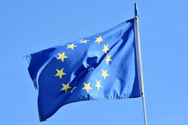 Elezioni europee 2019, 70% dei neomaggiorenni alle urne, il sondaggio