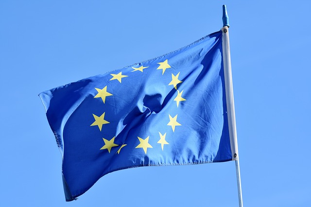 Elezioni europee 2019 data candidati guida speciale TP