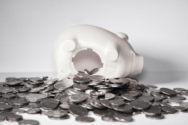 Reddito di cittadinanza 2019 tasso di rifiuto