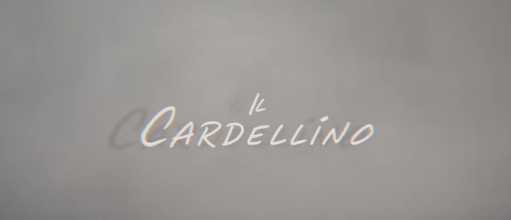 Il Cardellino trama, cast e anticipazioni del film al cinema