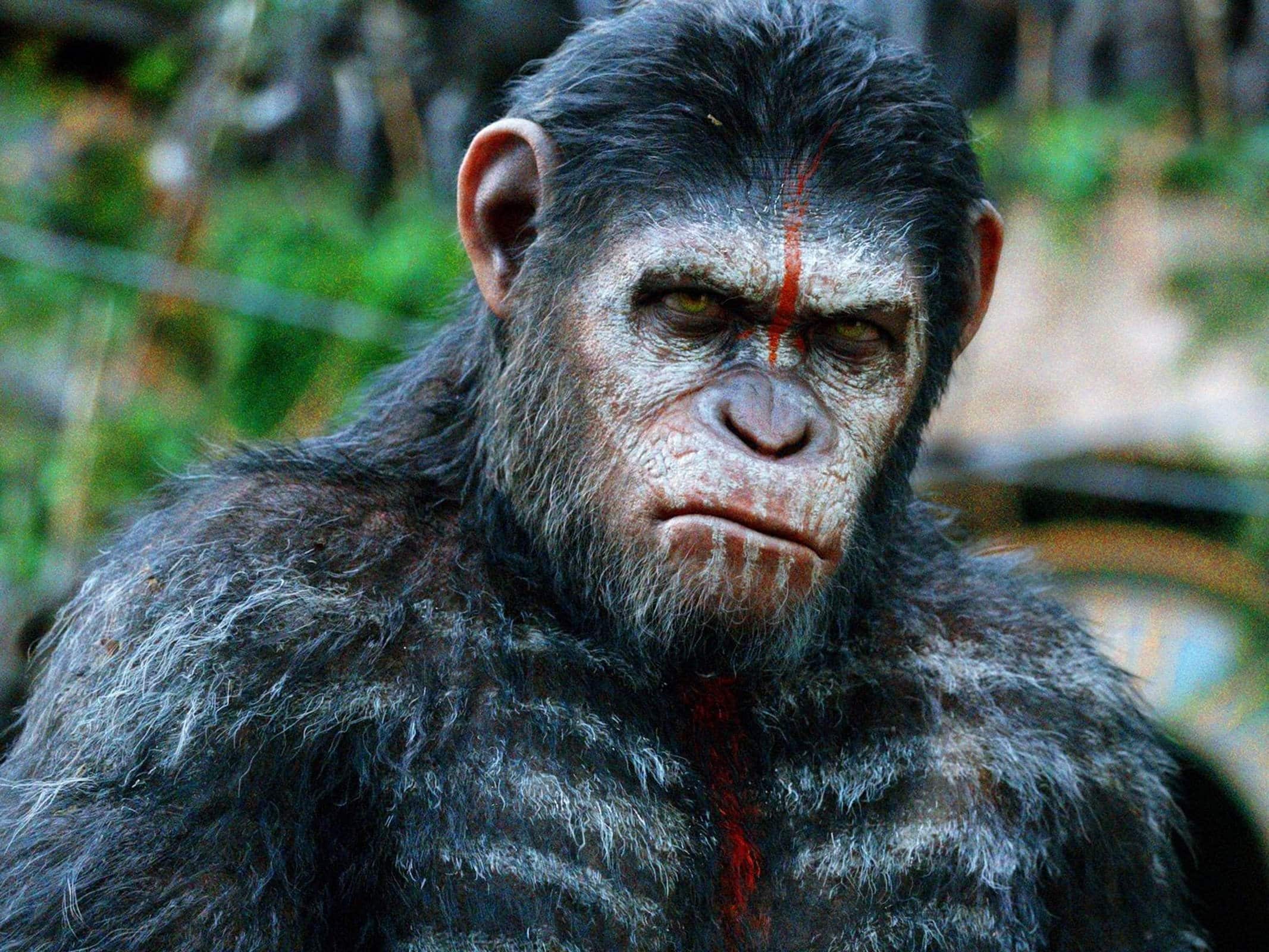 известные люди обезьяны