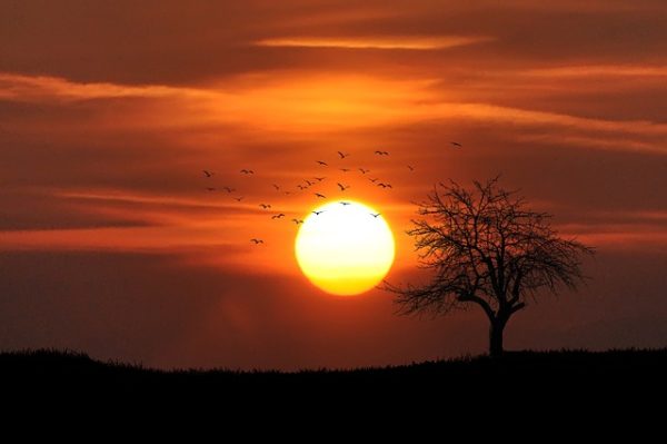 Meteo agosto 2019: previsioni, temperature e schema meteorologico