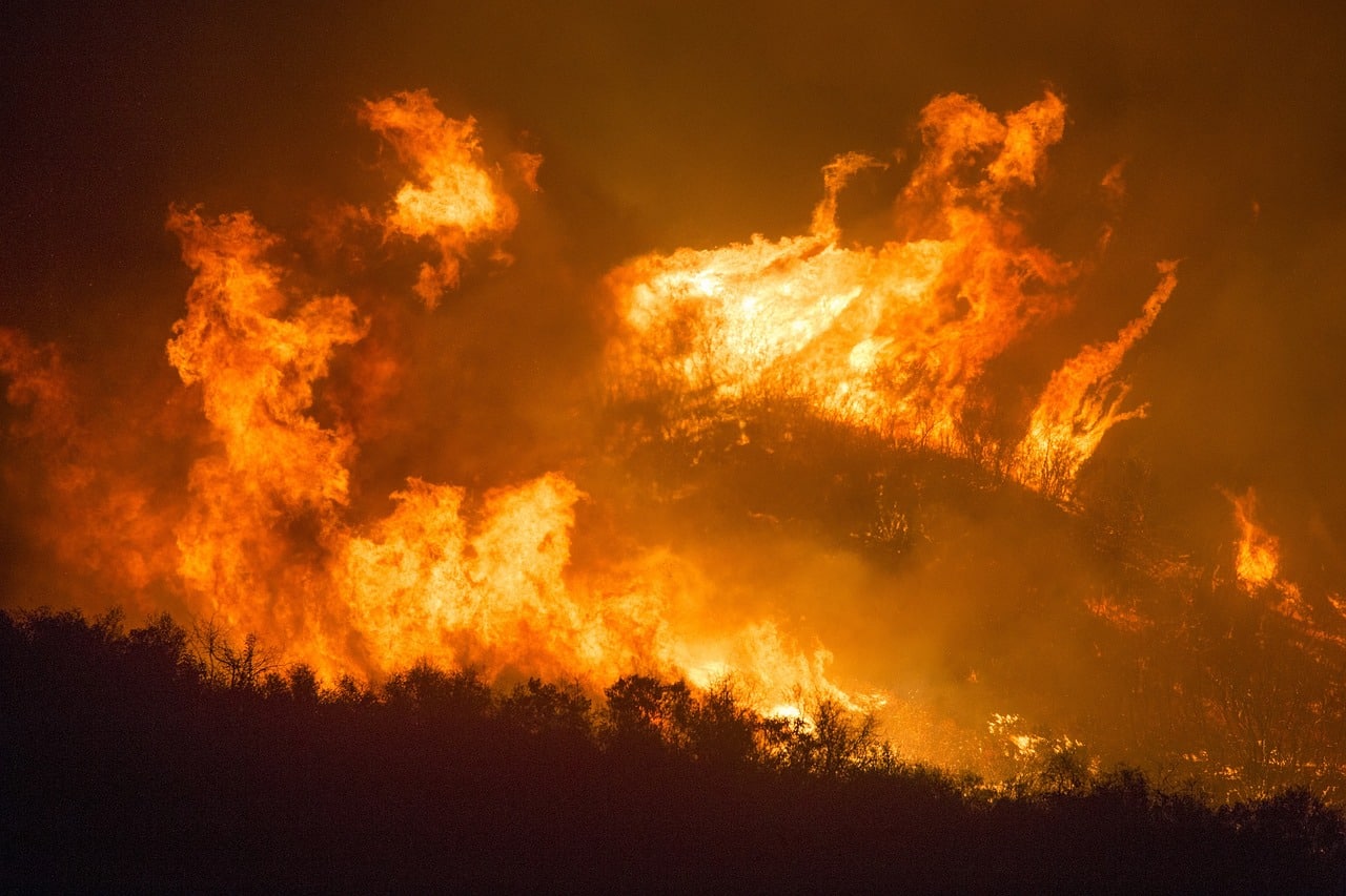 Australia, fumo degli incendi ripresi dalla ISS “Faranno il giro del mondo”