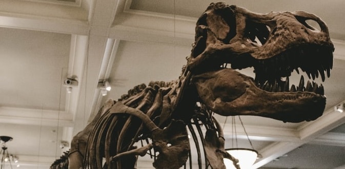 Notte al Museo 3 - Il Segreto del Faraone