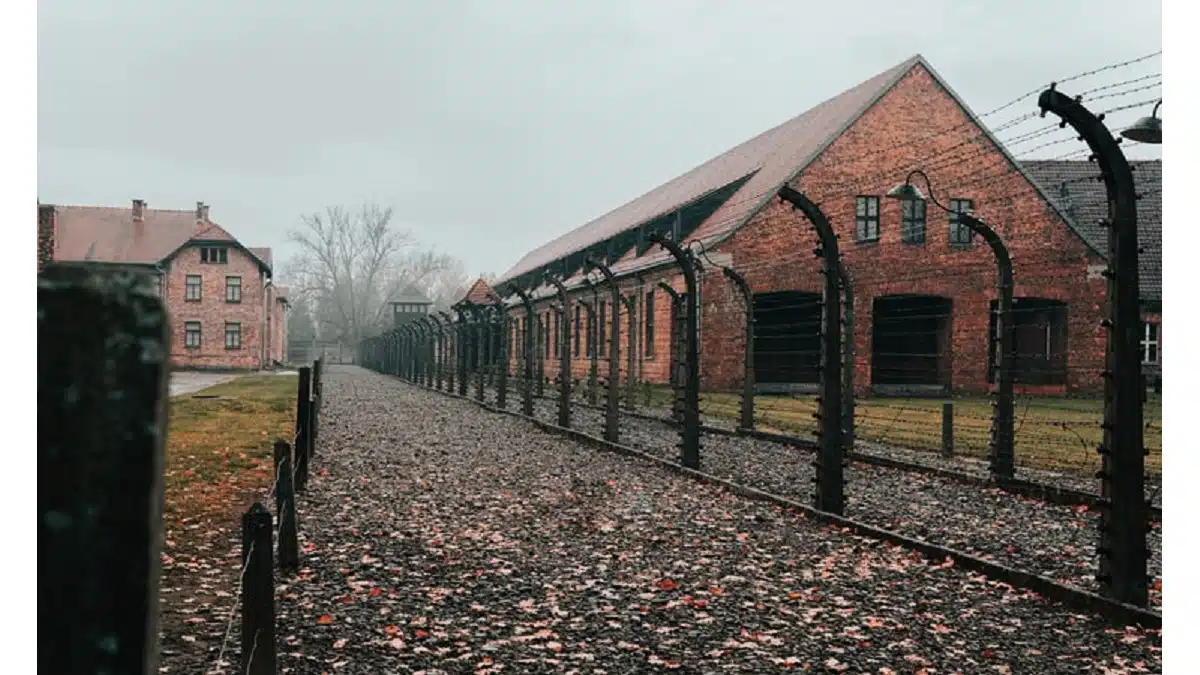 remember - Auschwitz