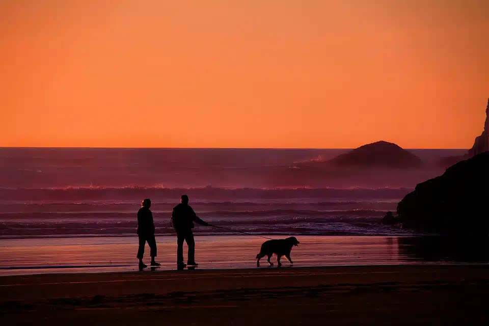 Due persone che passeggiano al tramonto con un cane
