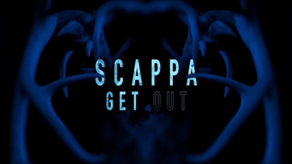 Scappa - Get Out: trama, cast e anticipazioni del film stasera in tv