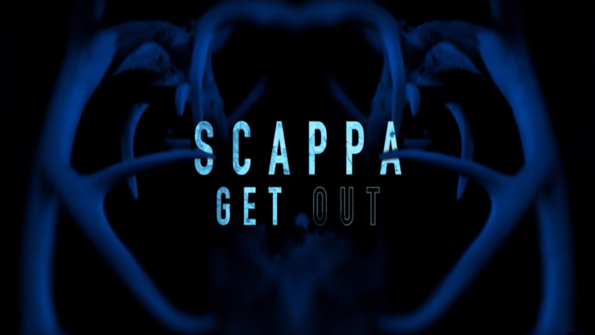 Scappa - Get Out: trama, cast e anticipazioni del film stasera in tv