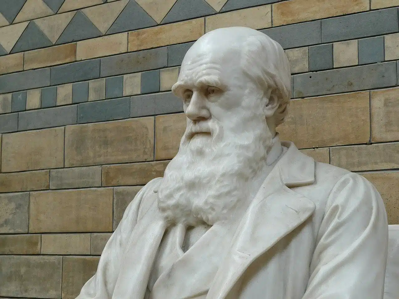 Charles Darwin Day significato giornata