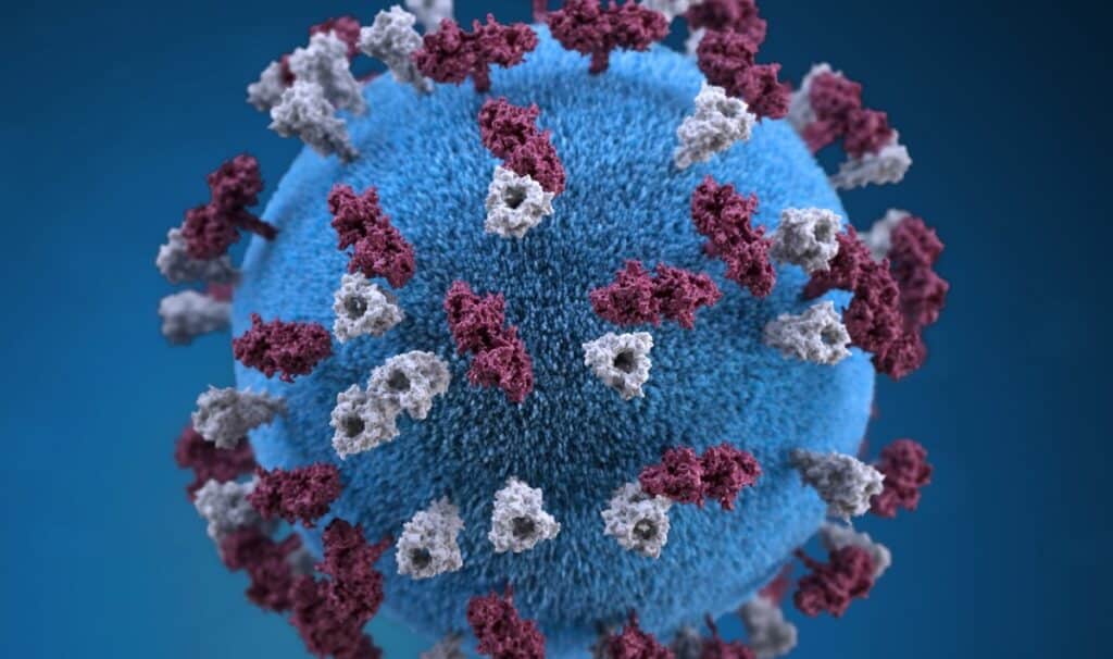 Coronavirus Campania - Virus