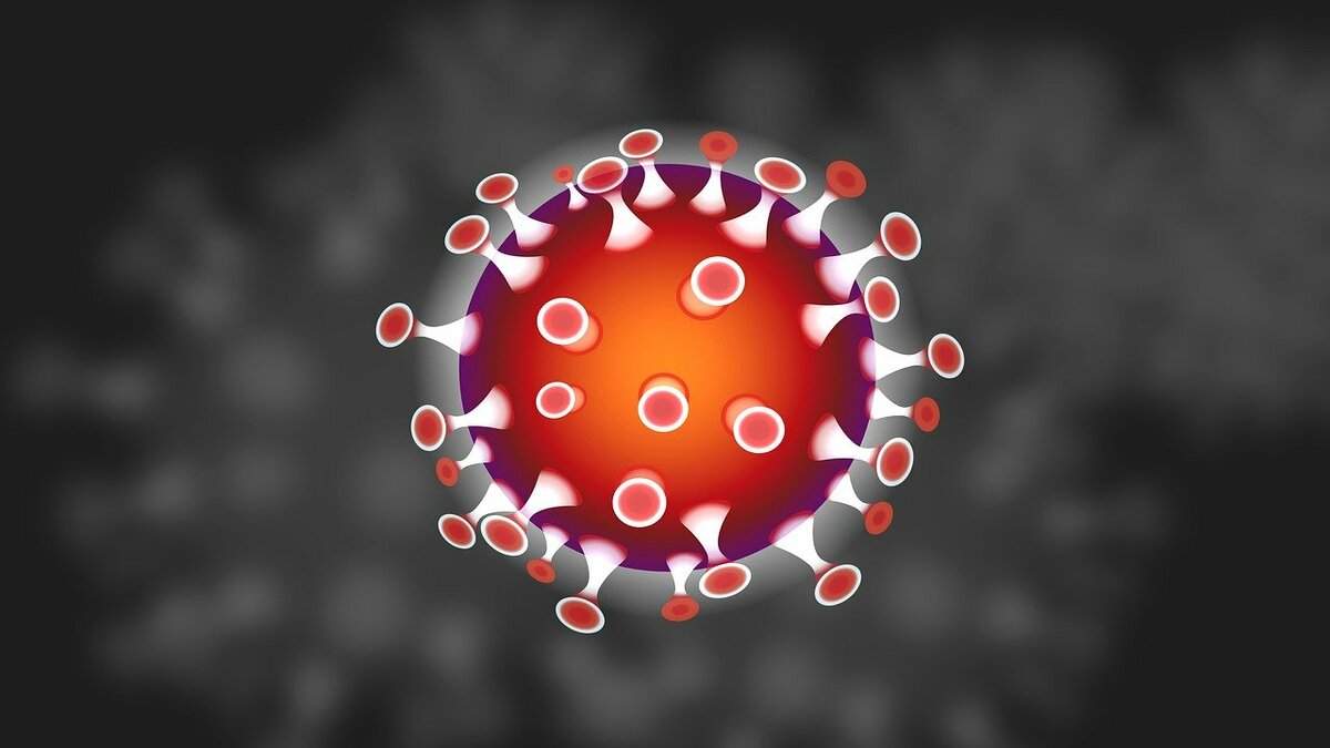 sondaggi, Coronavirus Veneto aggiornamento morti, contagiati e guariti al 13 marzo
